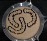 ΔΙΣΚΟΣ PMMA NANOTEXNOΛΟΓΙΑΣ microTemp HT-Plus CAD CAM nano