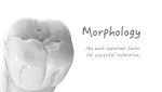 Σάββατο 1η Νοεμβρίου: Workshop-The Fundamentals of Morphology, Occlusion and Function with Thanasis Kalogeropoulos,C.D.T. by Up3d Academy.